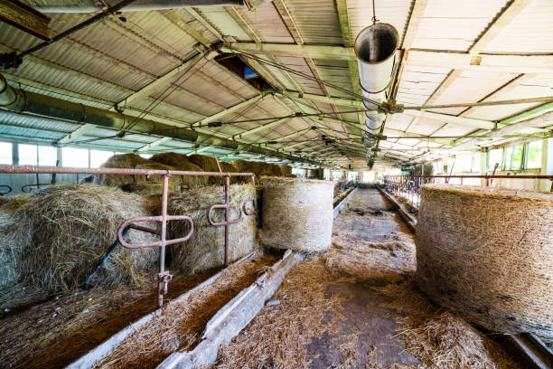 istock old abandoned farmhouse interior 1143194326