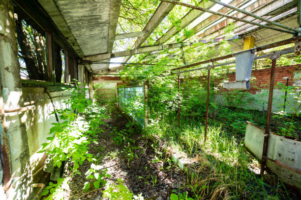 istock old abandoned farmhouse interior 1143194334