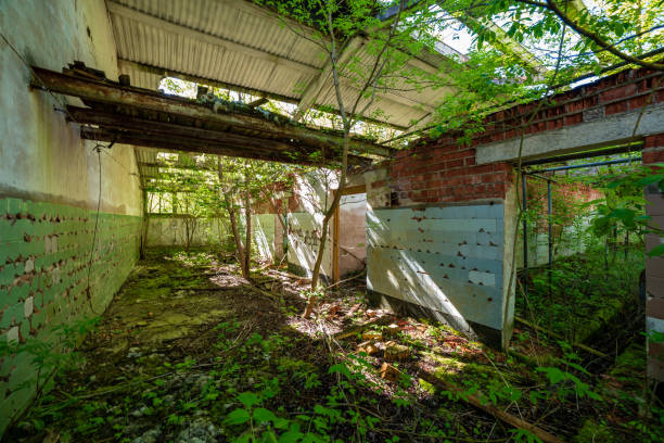 istock old abandoned farmhouse interior 1143194335