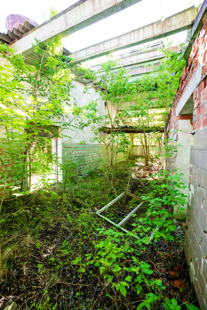 istock old abandoned farmhouse interior 1143194340