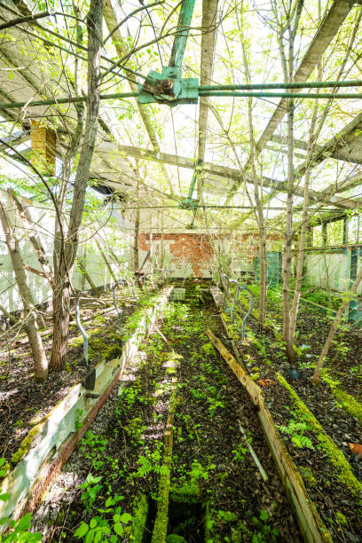 istock old abandoned farmhouse interior 1143194343