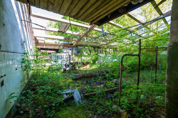 istock old abandoned farmhouse interior 1143194346