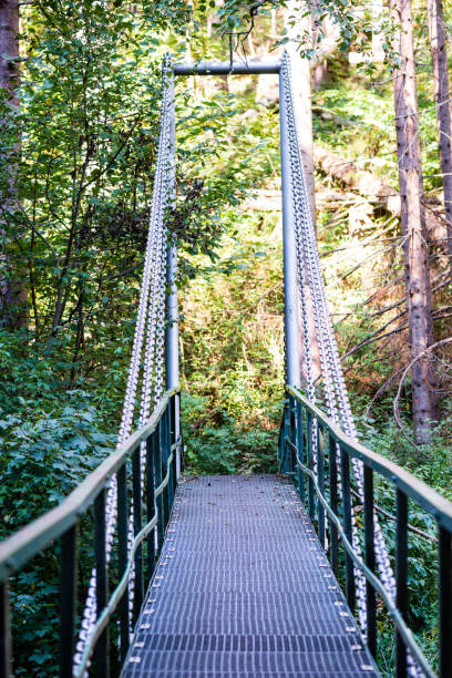istock foot bridge over forest river in summer 1143194388