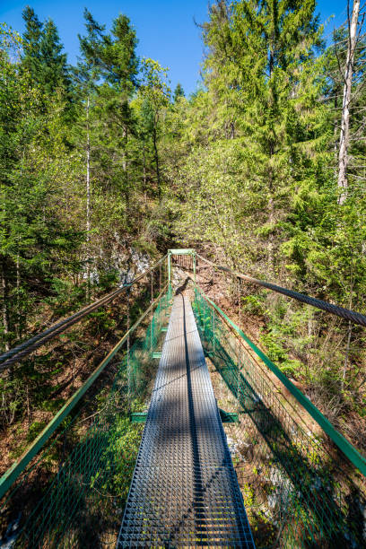 istock foot bridge over forest river in summer 1143194423