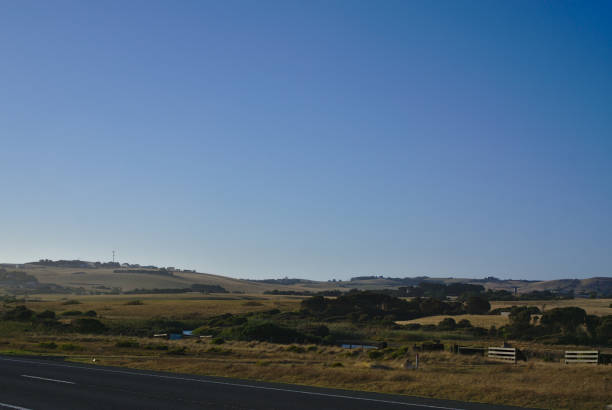 istock Hills and trees with blue sky in background 1143195547