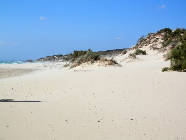 istock Deserted beach dunes on windy day 1143195605