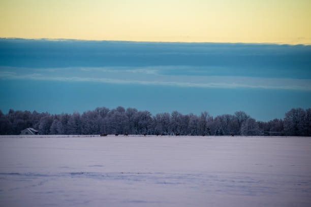 istock colorful sunset light over fields of snow in winter 1143195729