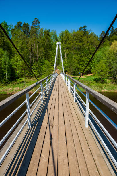 istock foot bridge over forest river in summer 1143195776