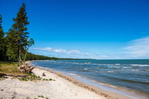 istock rocky beach in Hiiumaa island Estonia 1143195782
