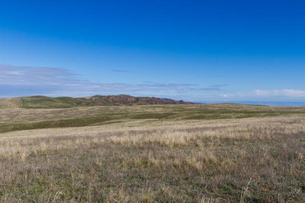 istock spring in the steppe of Kazakhstan 1143195798