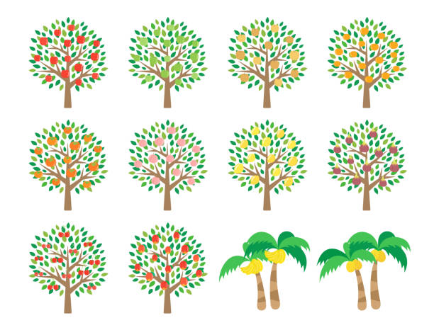 obstbaum - spring tree orchard forest stock-grafiken, -clipart, -cartoons und -symbole