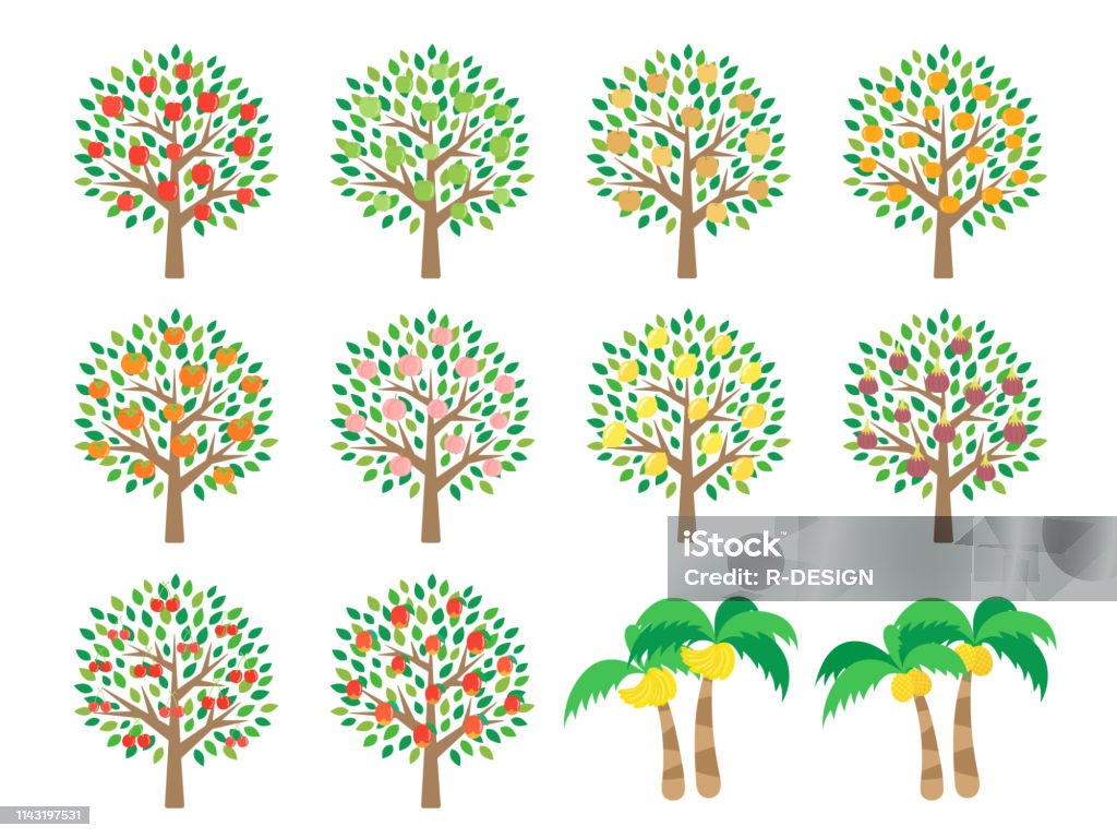 Fruit tree Fruit Tree stock vector