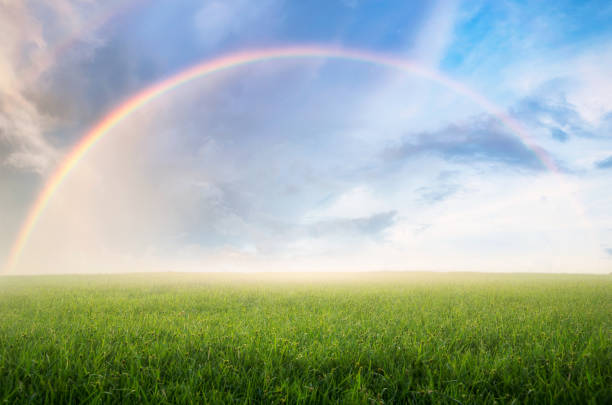 regenbogen mit wiese. - grass summer day sunset stock-fotos und bilder