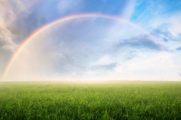 Photo of Rainbow with meadow.