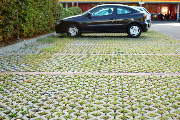 Free picture: grass, paver, paving