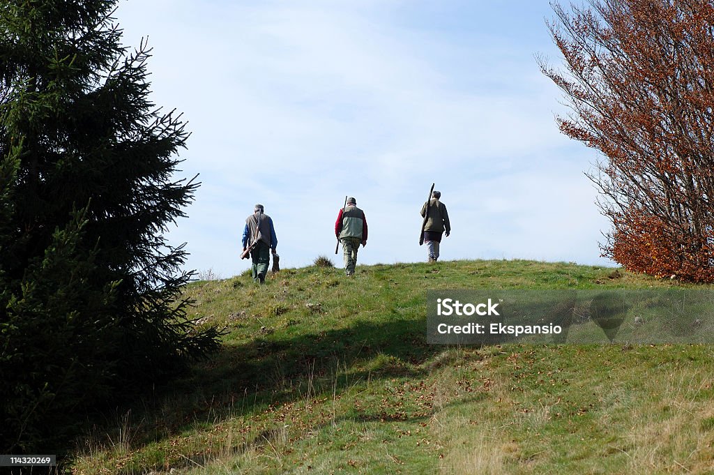 Après la chasse - Photo de Arbre libre de droits