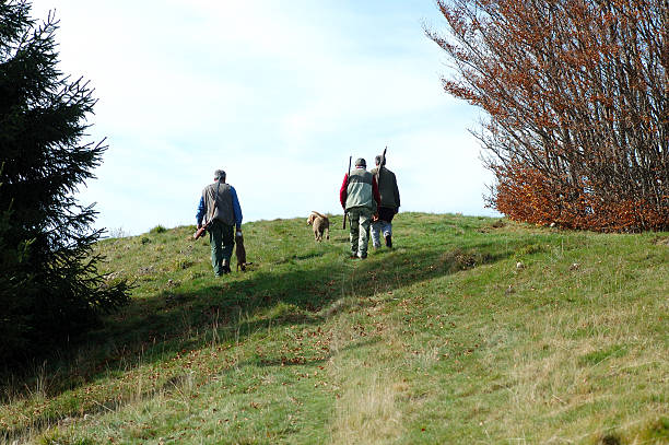 Hunters, dog and hare  homeward stock pictures, royalty-free photos & images