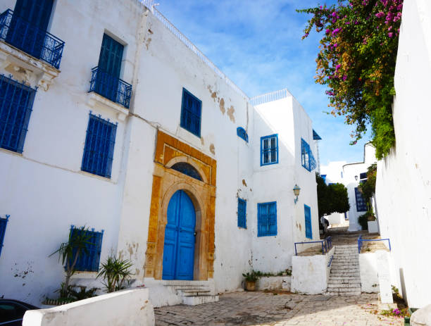 istock Old street Sidi Bou said in Tunisia 1143203555