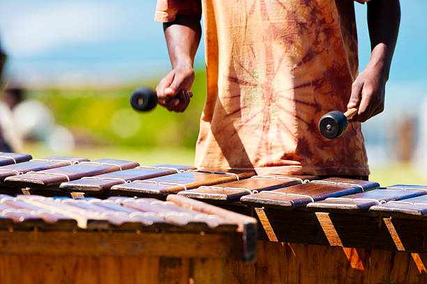 Marimba player  marimba stock pictures, royalty-free photos & images