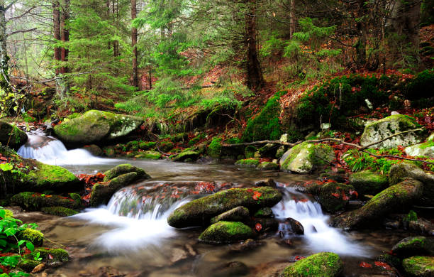 istock Mountain river in Autumn, morning shot. 1143208390