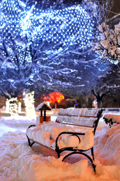 istock Bench covered in snow with tree and winter lights 1143208401