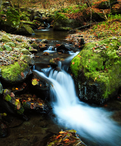 istock Mountain river cascade in Winter season 1143208527