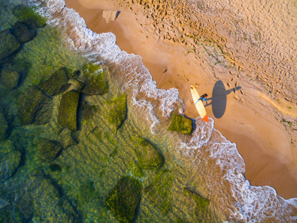 istock Aerial view of surfer going into the sea 1143209671