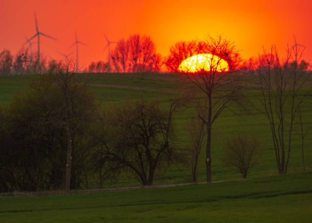 Rural landscape with wheat field on sunset
