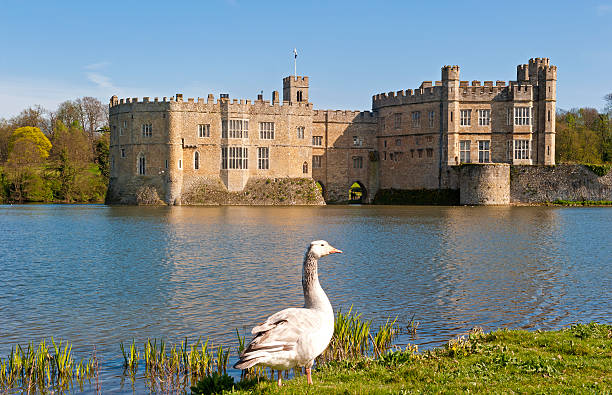 리즈 성 켄트에서 - kent leeds castle castle moat 뉴스 사진 이미지