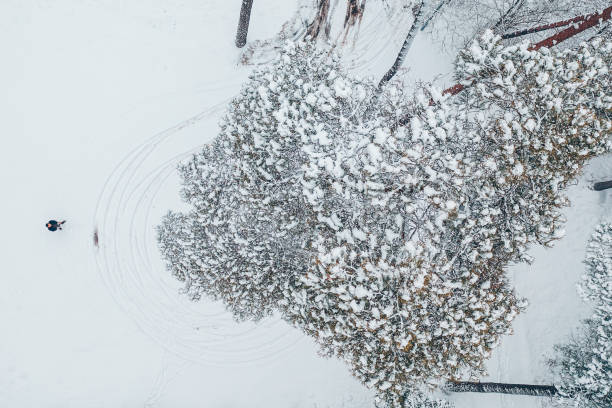 istock Aerial View Of Man In Snowy Forest 1143220877