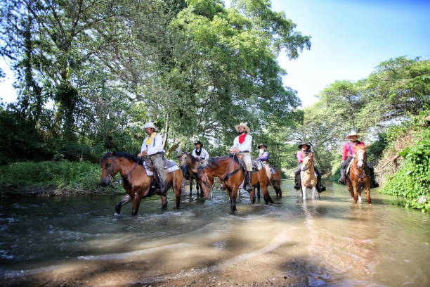 istock People Riding Horses In River Amidst Trees At Forest 1143222671