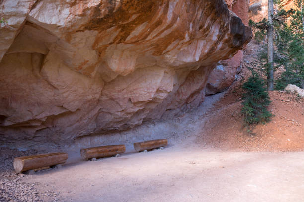 istock trail and trees in bryce canyon landscape 1143223692