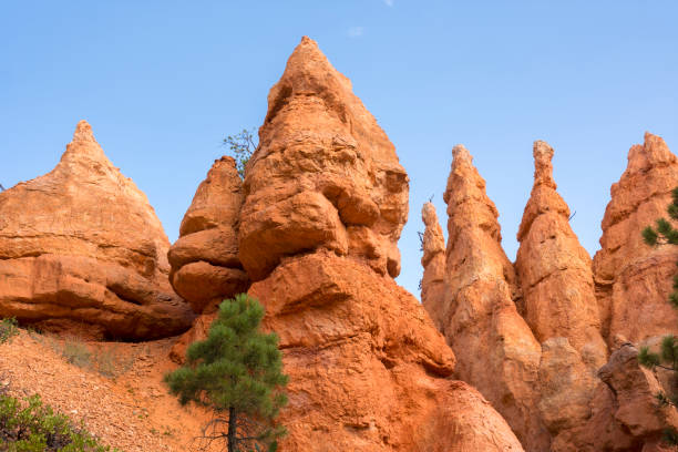 istock trail and trees in bryce canyon landscape 1143223713