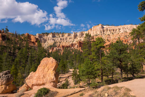 istock trail and trees in bryce canyon landscape 1143223796