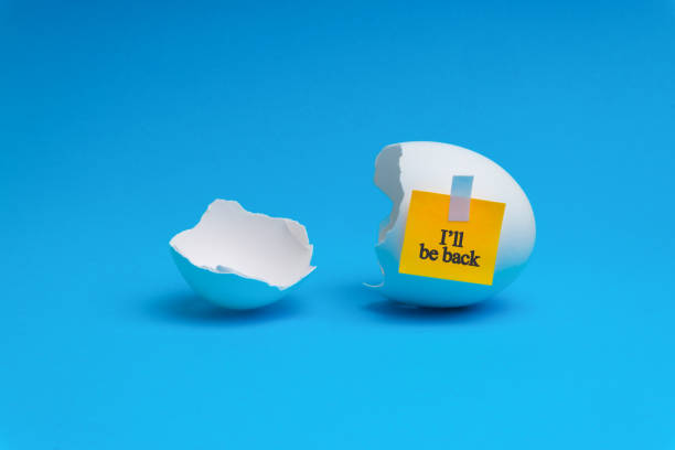 I WILL BE BACK words written on broken eggs shell over blue background. I WILL BE BACK words written on broken eggs shell over blue background. Selective focus office fun business adhesive note stock pictures, royalty-free photos & images