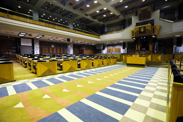 el parlamento, el sur de áfrica - flag south african flag south africa national flag fotografías e imágenes de stock