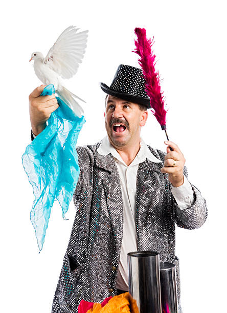 istock Magician with white dove 114322796