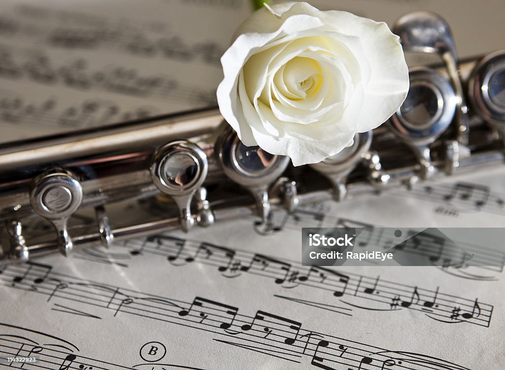 Flauta con música y la rosa blanca - Foto de stock de Blanco - Color libre de derechos