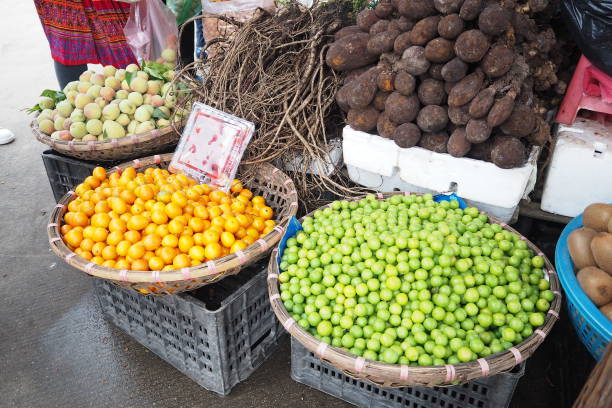 peach orange lime ginseng and  cassava on basket in morning market. - lime market vietnam fruit imagens e fotografias de stock