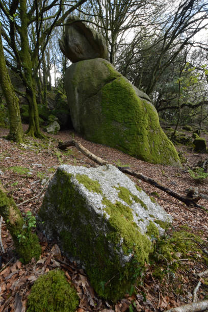 istock Carbeans Rocks Luxulyan Valley Cornwall 1143229890