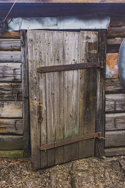 istock old wooden door of a collapsed barn. 1143233211