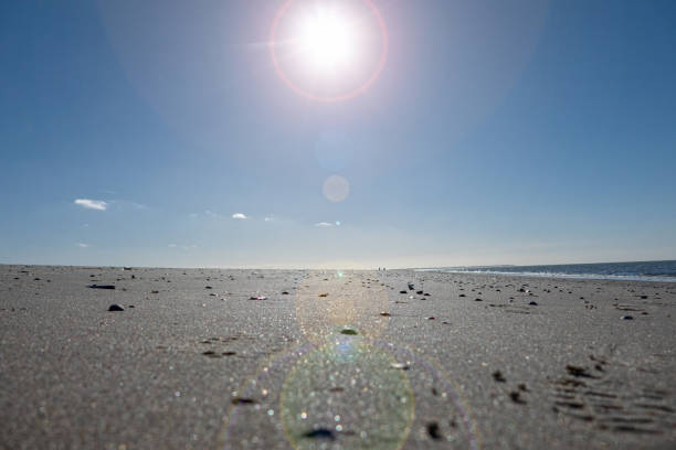 Sun shines brightly on the beach