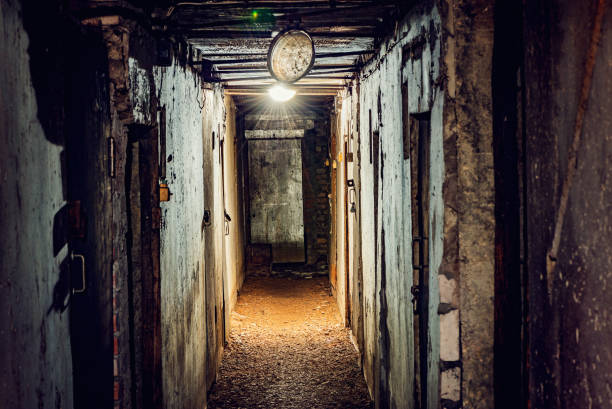 istock Dark narrow corridor of the basement. 1143236587