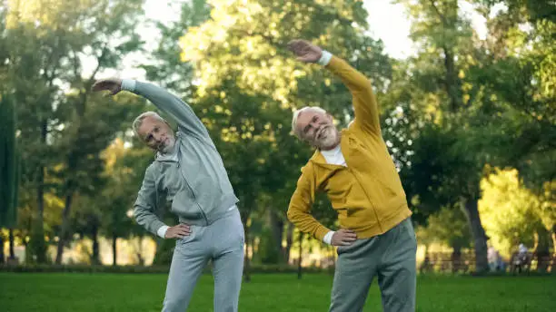 Two aged pensioners doing morning exercises in park, fitness activity, wellness
