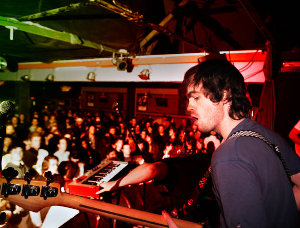 istock Bass player on stage playing to crowd 114323923