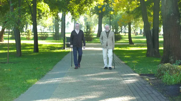 Two senior men with walking sticks strolling along park, resting, retirement