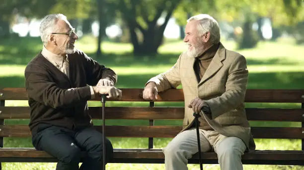 Aged male friends with walking sticks resting on bench in park and talking