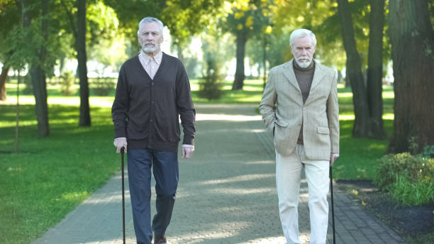 istock Two old upset men walking in park and talking about life, problems in old age 1143239709