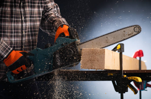 istock Man using modern electric circular saw for ctting wood  in the workshop 1143240955