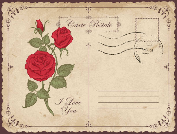 비문 빈티지 인사말 카드 나는 당신을 사랑 - valentine card rose plant blossom stock illustrations